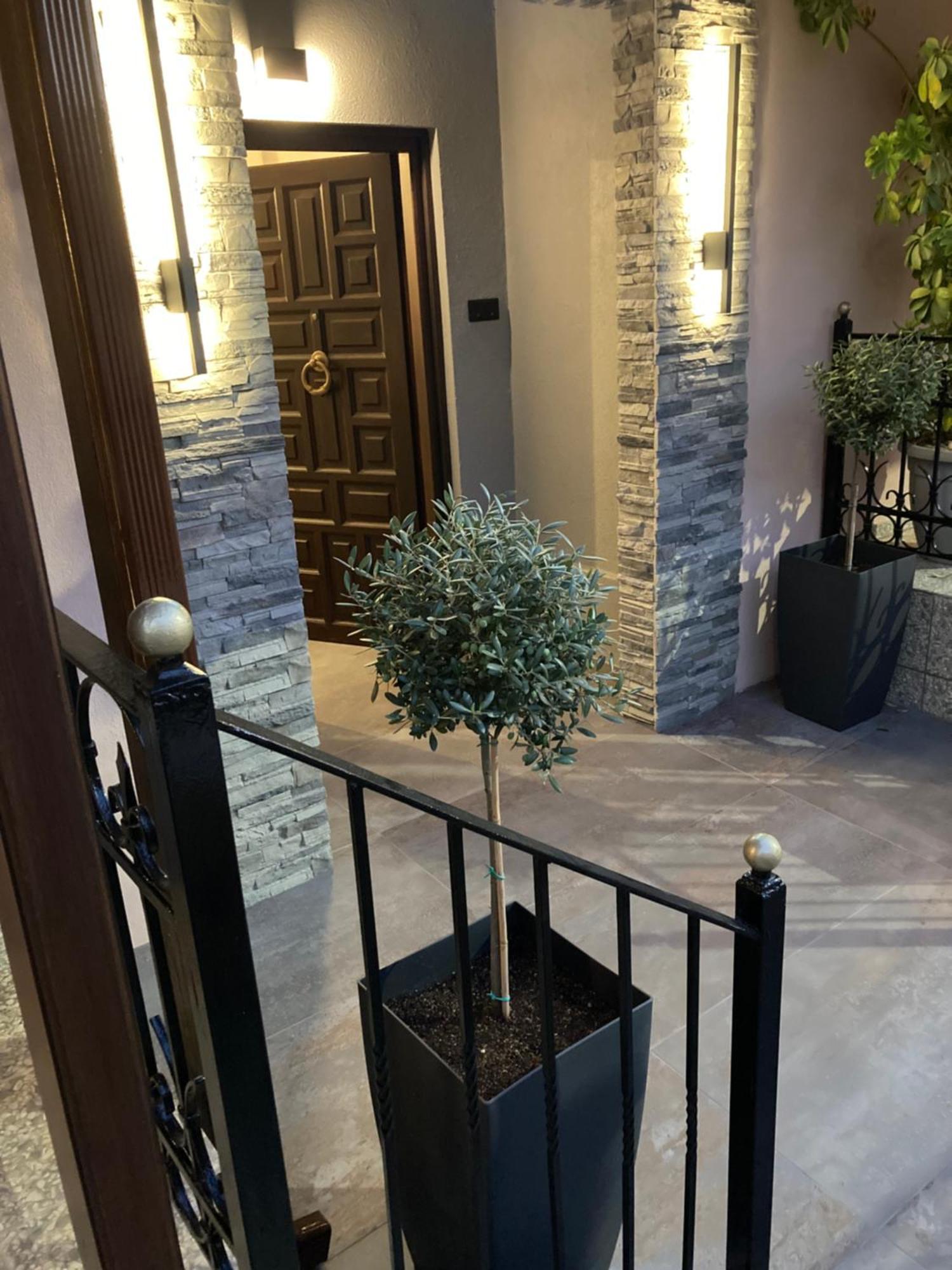 The Mits Luxury Apartments Скіатос Екстер'єр фото